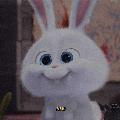 Avatar 21294