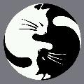 Avatar 229825