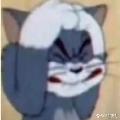 Avatar 298565