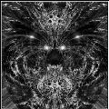 Avatar 361