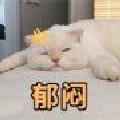Avatar 844